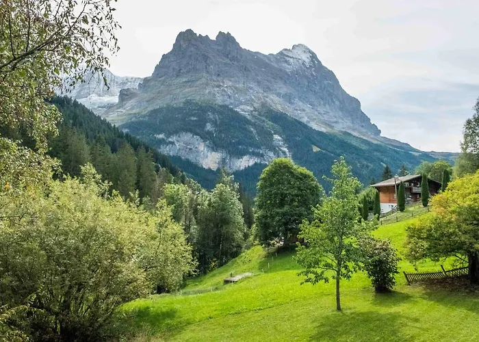 Muehlegaden 5.5 - Griwa Rent Ag Apartmán Grindelwald