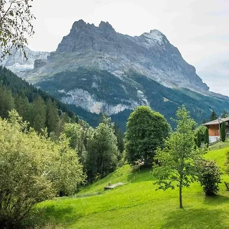 Mühlegaden 5.5 - Griwa Rent Ag Apartamento Grindelwald